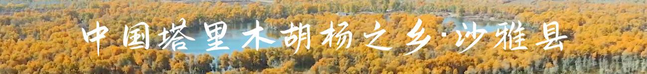 中间横幅广告2