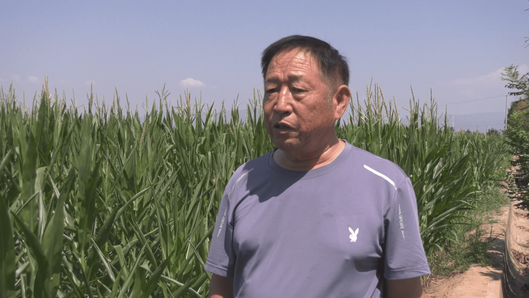 【乡村振兴进行时】科技“飞防” 护航秋粮稳产增收